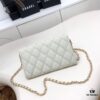 Chanel Classic Quilted Leather Shoulder Crossbody Bag with Chain