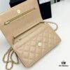 Chanel Classic WOC Bag in CF Series Caviar Leather and Smooth Lamb Skin - New Color Launch