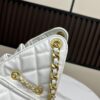 New Chanel 25 Handbag