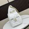 New Chanel 25 Handbag