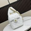 New Chanel 25 Handbag