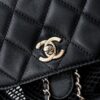 CHANEL 25S Spring/Summer Bestseller Series - Chanel Mesh Netting Bag