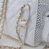 CHANEL 25S Spring/Summer Bestseller Series - Chanel Mesh Net Bag