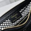CHANEL 25S Spring/Summer Bestseller Series - Chanel Net Mesh Handbag