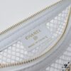 CHANEL 25S Spring/Summer Bestseller Series - Chanel Net Mesh Handbag