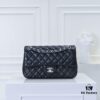 CHANEL Classic Crossbody Bag Summer Collection with Original Hardware