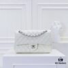 CHANEL Classic Crossbody Bag Summer Collection with Original Hardware