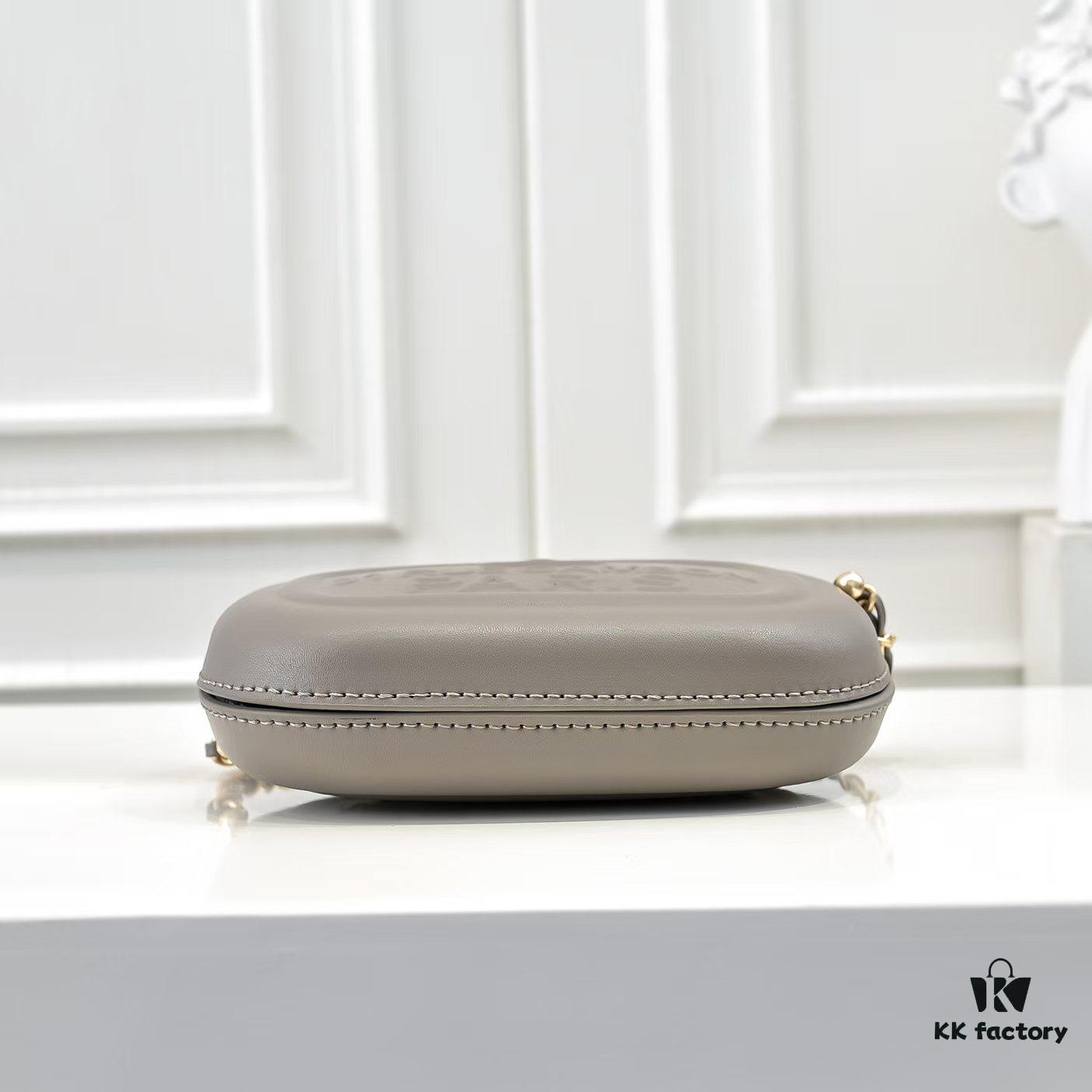 CHANEL 25C Pre-Spring Resort Collection Mini Camera Bag in Gold Tone