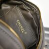 CHANEL 25C Pre-Spring Resort Collection Mini Camera Bag in Gold Tone