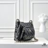 Chanel 25C Spring/Summer New Arrival Camera Bag - Luxurious Lambskin with Gold-Tone Chain