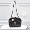 CHANEL 24K Autumn/Winter New Series Camera Bag, Full-Grain Leather, Eye-Catching Double C Logo, Classic and Unique Design