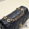 Chanel 2024 Spring-Summer Early Collection Runway Latest Model Classic Quilted Flap Bag with Bold Gold Chain Accent