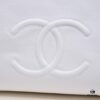 Chanel A2021 New Arrival Tote Bag from the Haute Couture Collection