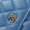 Chanel Classic Flap Bag 0250 - Authentic Quality, Quilted Calfskin Leather