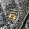Chanel Classic Flap Bag 0250 - Premium Quality Imported Calfskin Leather