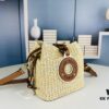 New Small LV NOE PURSE Bucket Bag in Raffia Leather