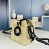 New Small LV NOE PURSE Bucket Handbag in Raffia Leather Mini 'Little Dumpling'