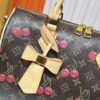 M17089 M40391 Louis Vuitton Cherry Series Handbag from 2005 Designed by Takashi Murakami