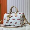 M17089 M40391 Louis Vuitton Cherry Series Handbag from 2005 Designed by Takashi Murakami