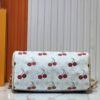 M17089 M40391 Louis Vuitton Cherry Series Handbag from 2005 Designed by Takashi Murakami