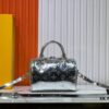 M11987 M58953 Silver Speedy Bandoulière 20 Handbag from LV Ski Collection