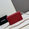 Chanel WOC Classic Fortune Bag with Box (33814 Ball Texture) - Can Be Worn as Crossbody, Shoulder or Clutch