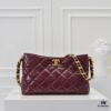 Chanel 24B Coarse Chain Hobo Crossbody Bag, Top-Grain Leather CF Shoulder Bag