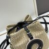 New Small LV NOE PURSE Bucket Bag in Raffia Leather