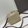 New Small LV NOE PURSE Bucket Bag in Raffia Leather