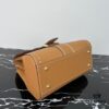 Delvaux 2024 Spring-Summer Exterieur Stitching Collection Brillant PM in Calfskin