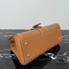 Delvaux 2024 Spring-Summer Exotic Stitching Collection Brillant PM in Caramel Rodeo Calf Leather
