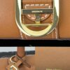 Delvaux 2024 Spring-Summer Exotic Stitching Collection Brillant PM in Caramel Rodeo Calf Leather