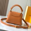 Guangzhou Stock Premium Original M14970 Brown Capucines Mini Bag