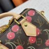 Upgraded Original Cherry 🍒 M13094 M46234 M46222 Speedy Bandoulière 20 Handbag