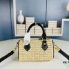 New Arrival Wholesale [NANO SPEEDY Bag] Raffia (Woven)