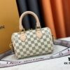 Louis Vuitton Speedy Bandoulière 20 Handbag M45957