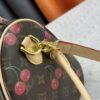 M17089 M40391 Louis Vuitton Cherry Series Handbag from 2005 Designed by Takashi Murakami