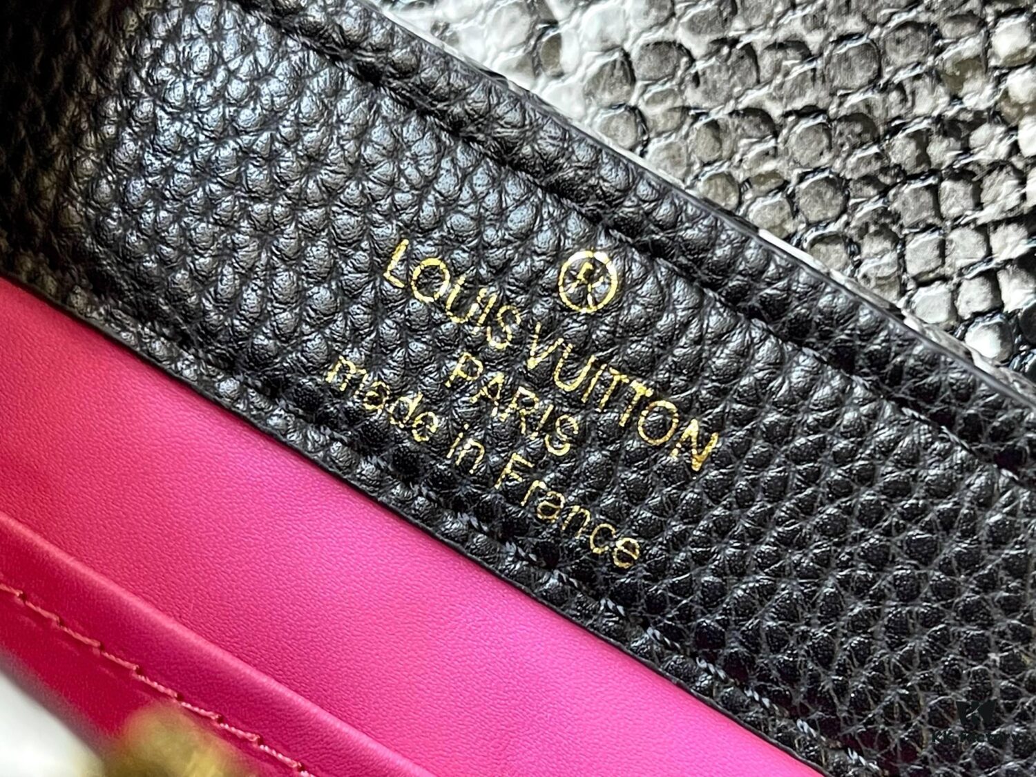 Exclusive On-hand Photo - Upgraded M95509 CAPUCINES Mini Bag