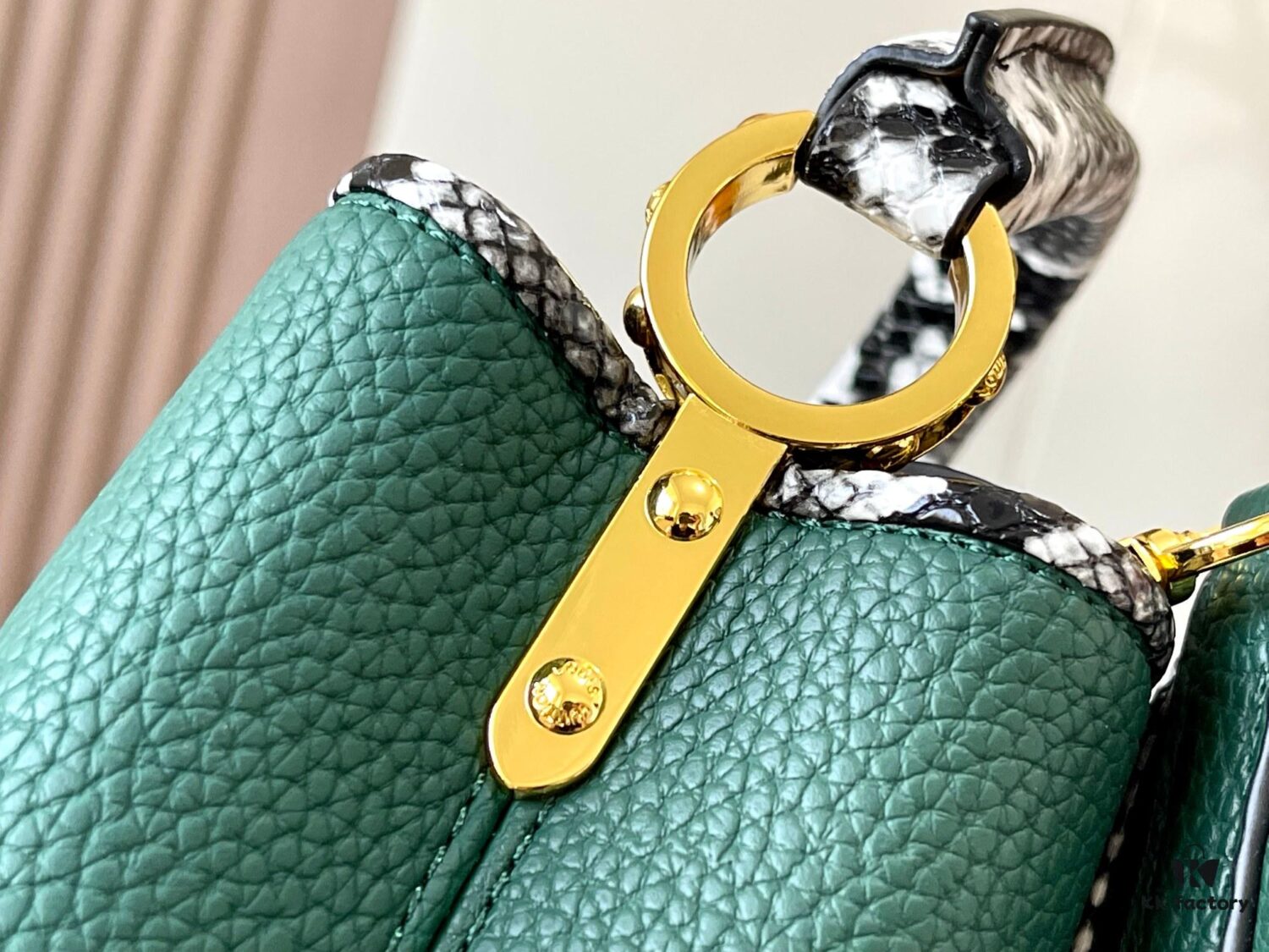 Exclusive On-Site Photo - Upgraded M95509 CAPUCINES Mini Bag