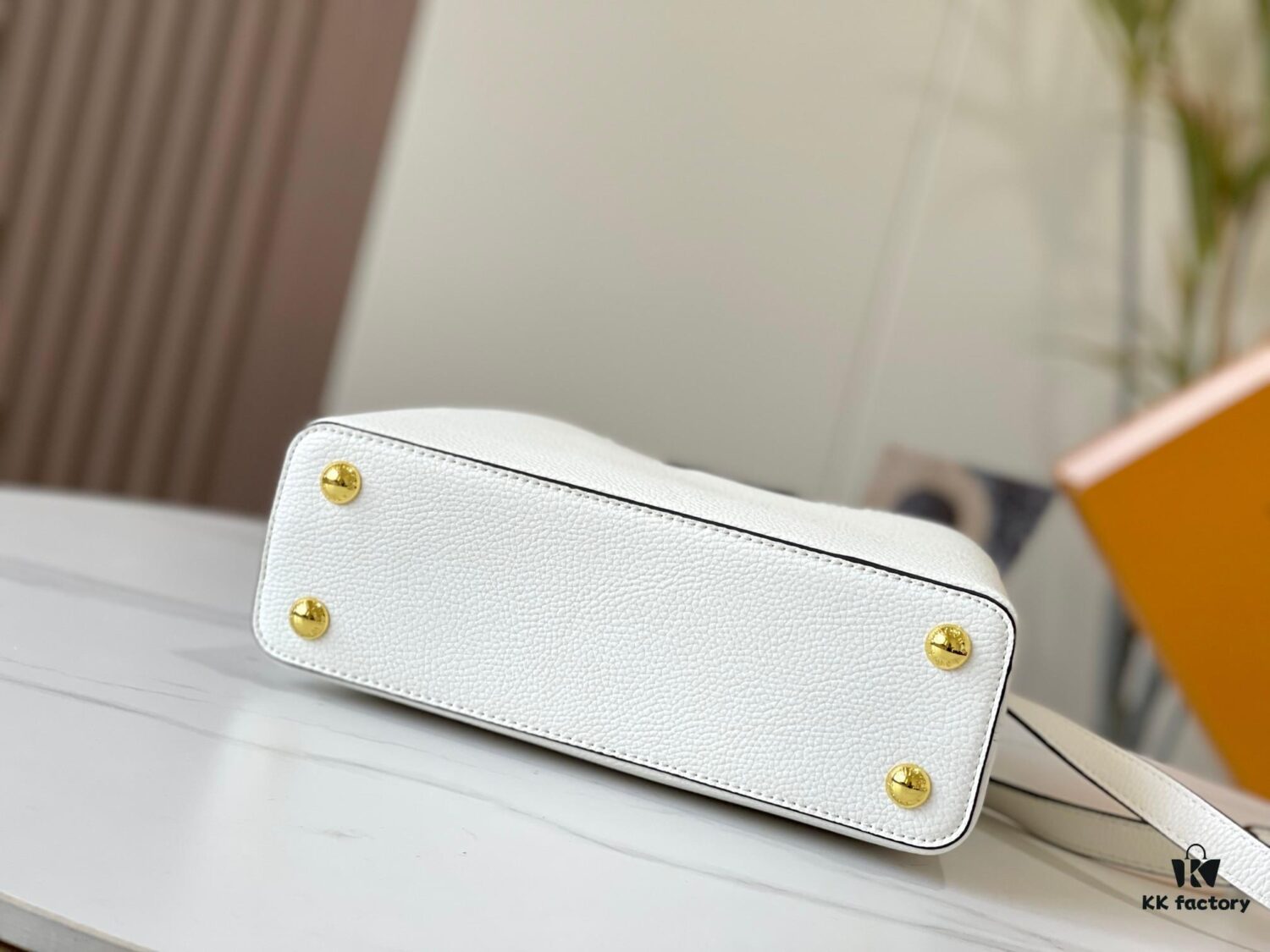 Exclusive On-Site Photo - Upgraded M95508 CAPUCINES Small Handbag