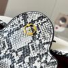 Exclusive On-Site Photo - Upgraded M95508 CAPUCINES Small Handbag