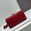 Delvaux 2024 Spring-Summer Exposed Stitching Collection
