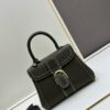 Delvaux 2024 Spring-Summer Exposed Stitching Collection