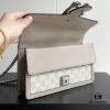 Gucci Dionysus Diamond Buckle Bag - Oatmeal Model 499623, Size 25x14x8cm
