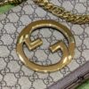 Gucci Blondie Series
