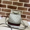 GUCCI New Arrival High-Quality Authentic Stock, Top-Tier Original Order Item, Real Photo, Original Order Matching Hardware, Model No. 550620 Millet Glue Oatmeal, Size W15xH18xD9.5cm, In Stock