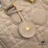 Dior Groove .25 Handbag