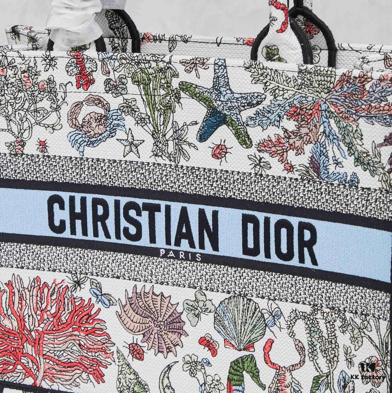 Original Order Embroidered Medium Di0r Book Tote