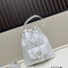 Large DIOR Caro Bucket Bag from the 2025 Fall-Winter Ready-to-Wear Collection