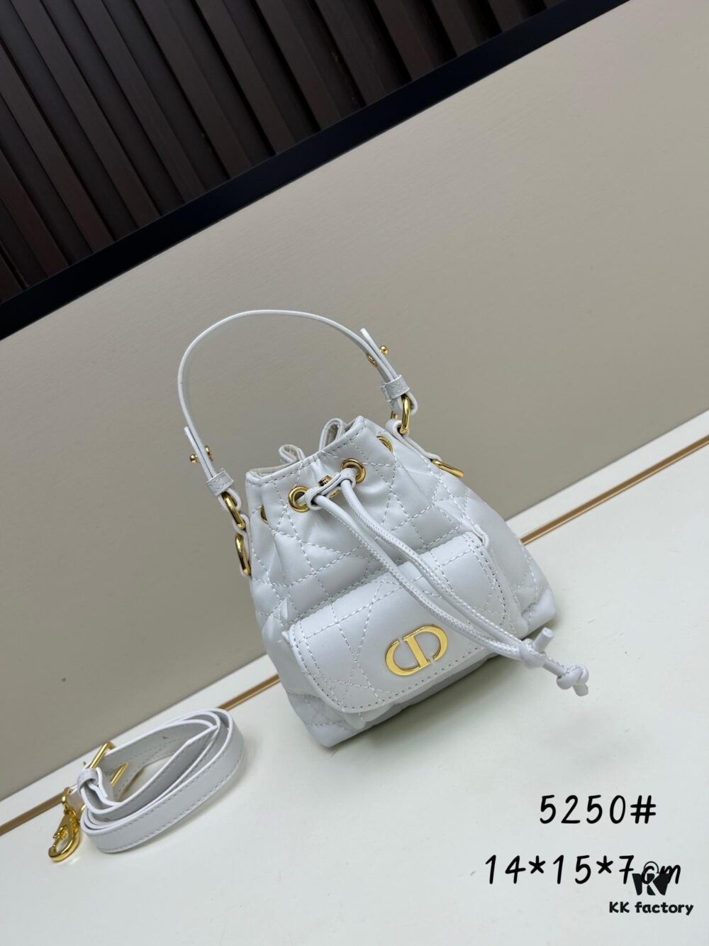 Small DIOR Caro Bucket Bag from the 2025 Autumn Ready-to-Wear Collection